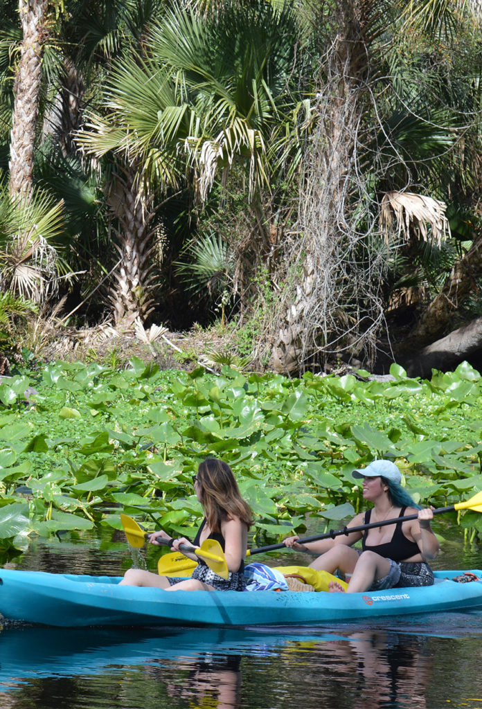 wekiva river kayak