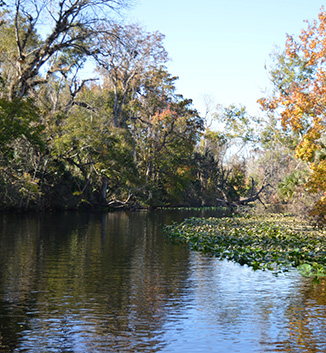 wekiva river getaway