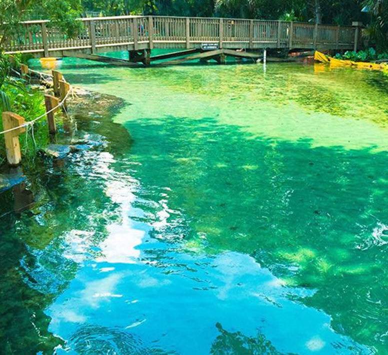 wekiva springs